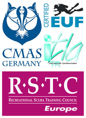 CMAS Logo